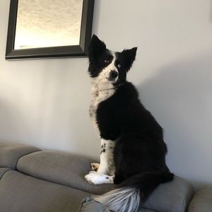 Meet your Posher, Tami